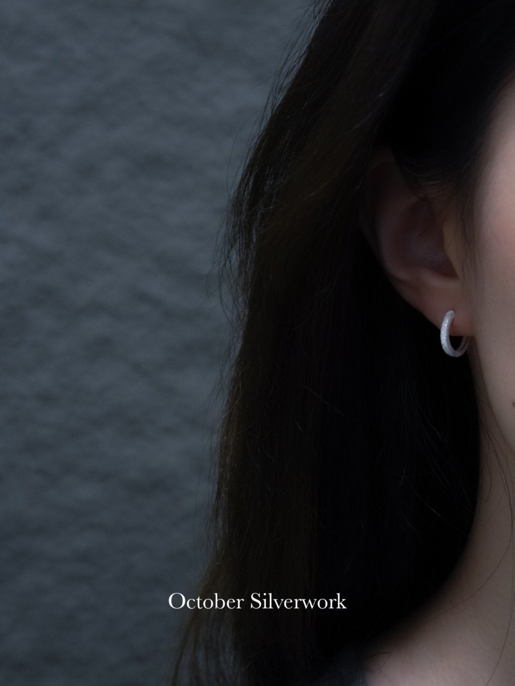 E1500 Shimmering Frosted Earrings